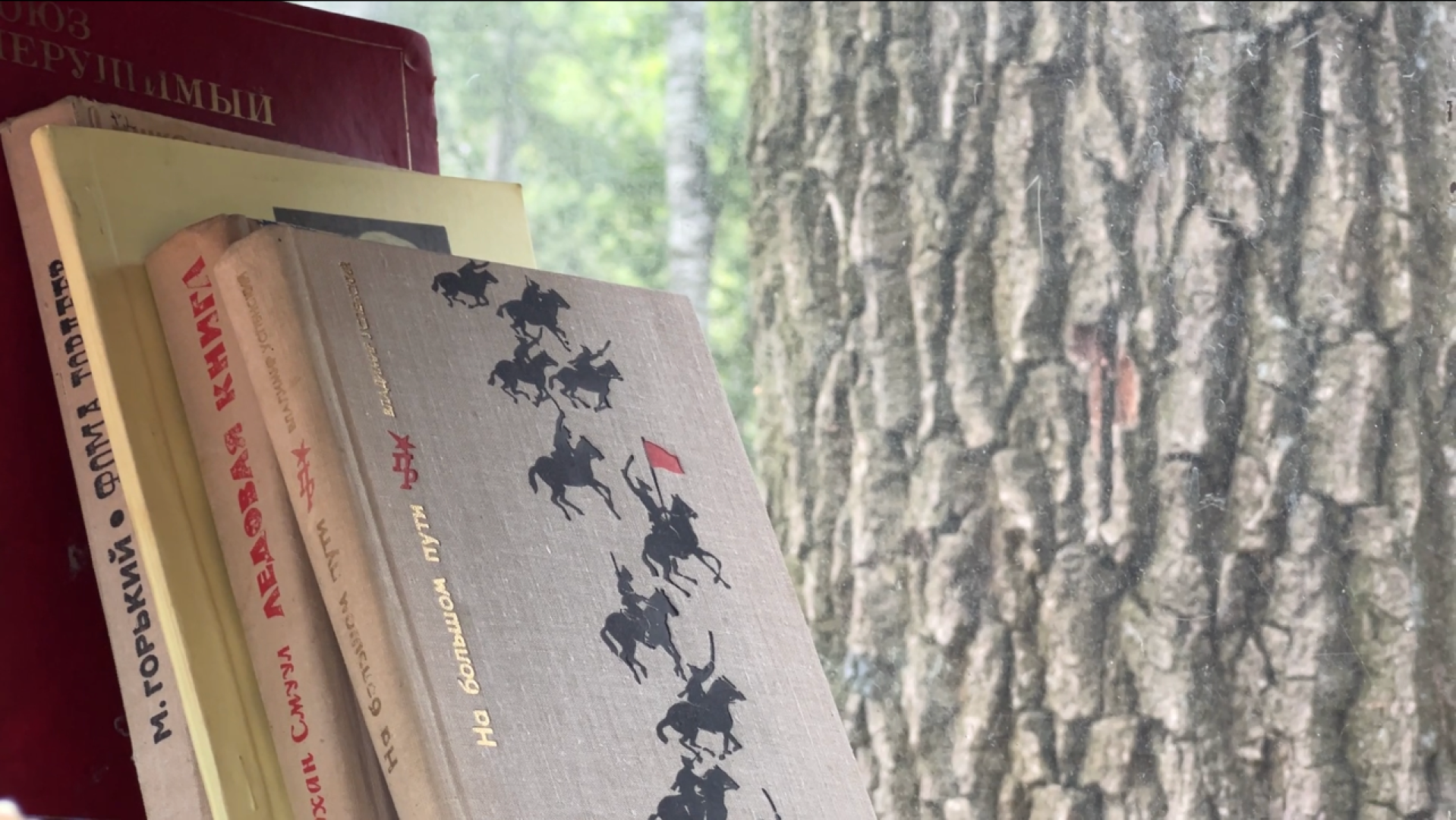 химки, культура, парк, буккроссинг, обмен книгами,