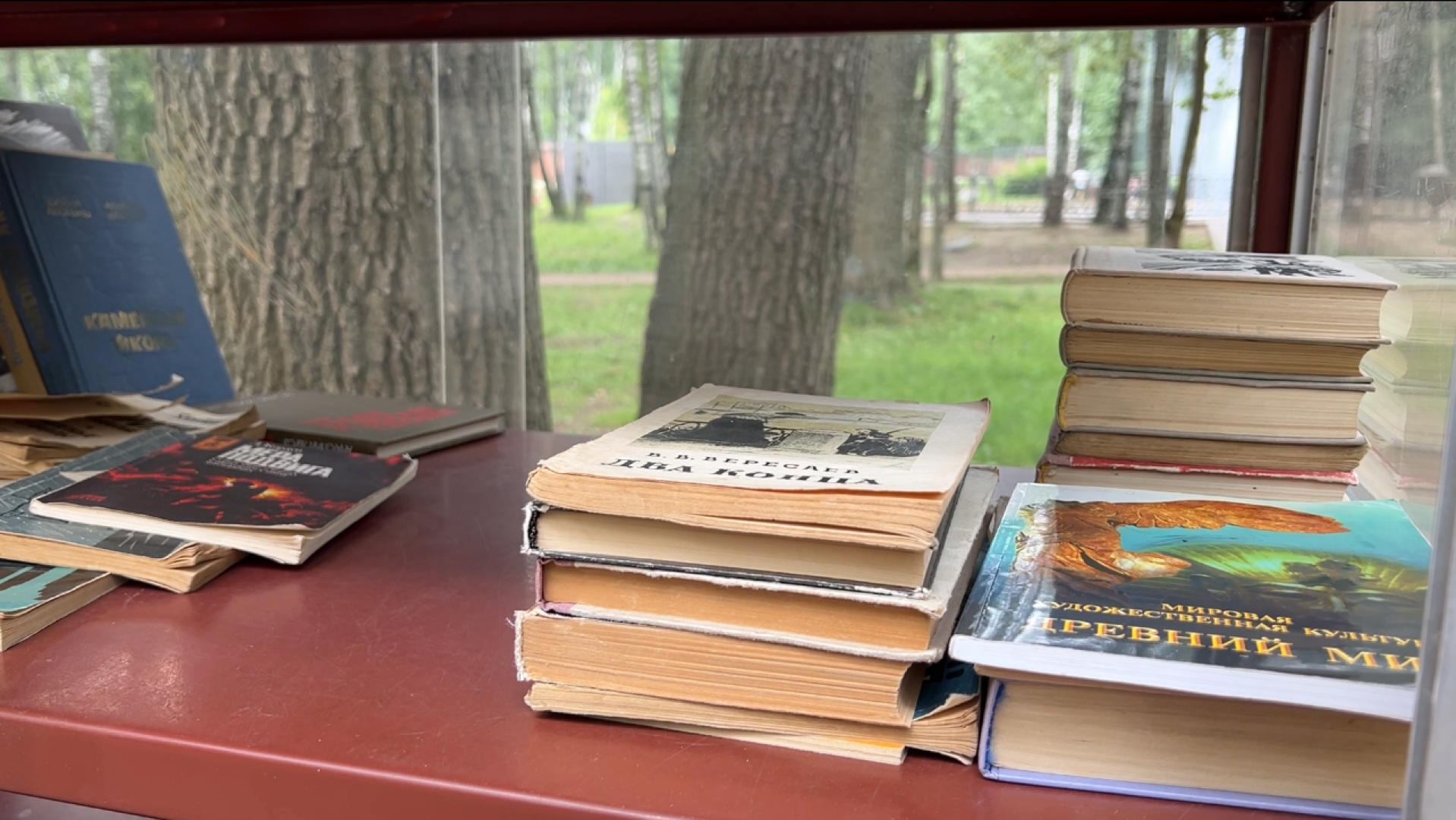 химки, культура, парк, буккроссинг, обмен книгами,