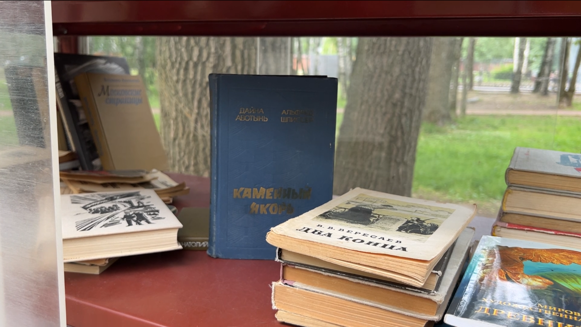 химки, культура, парк, буккроссинг, обмен книгами,