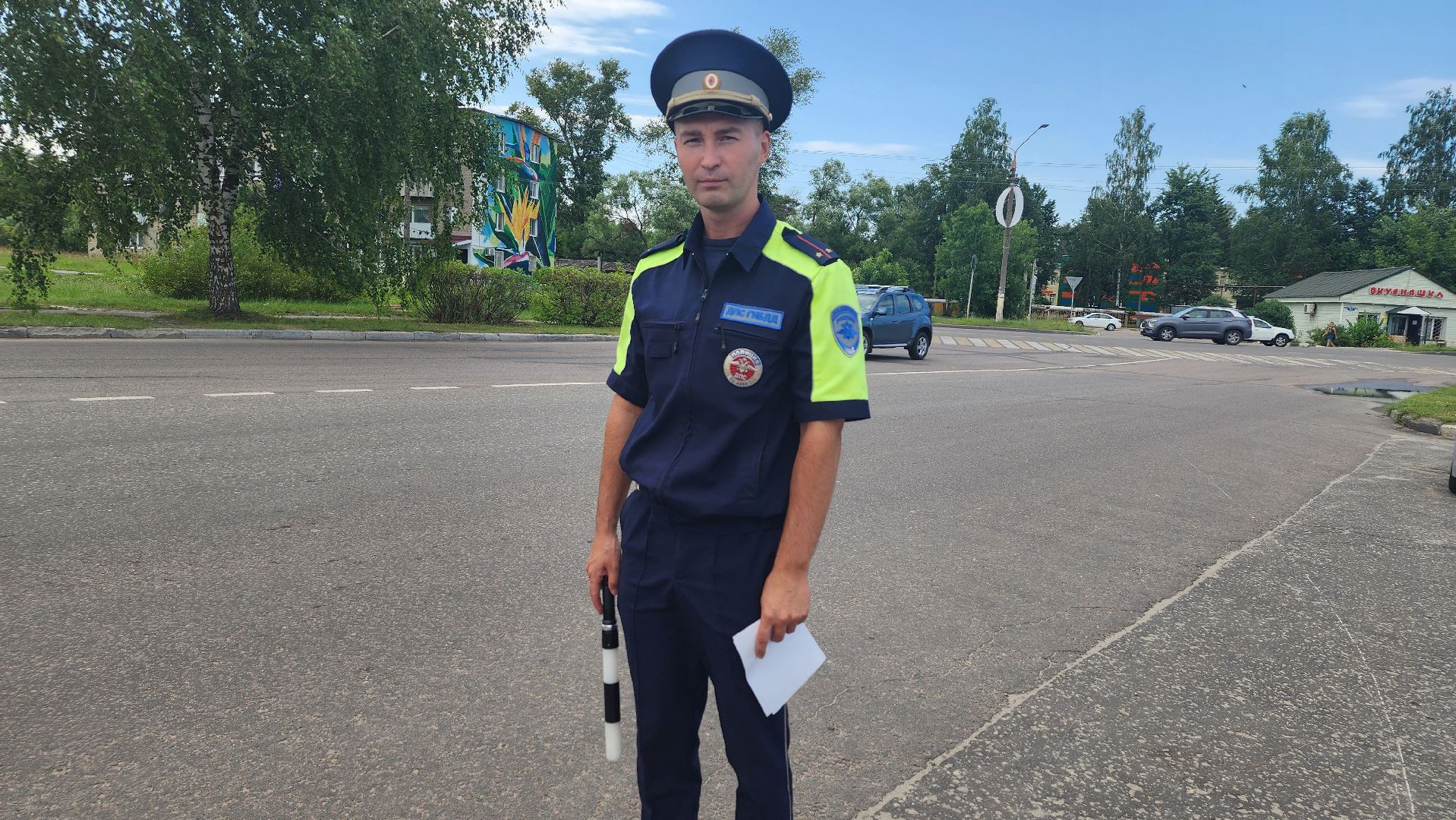 детское автокресло, тотальная проверка, Рошаль, Большя Шатура, гаи,