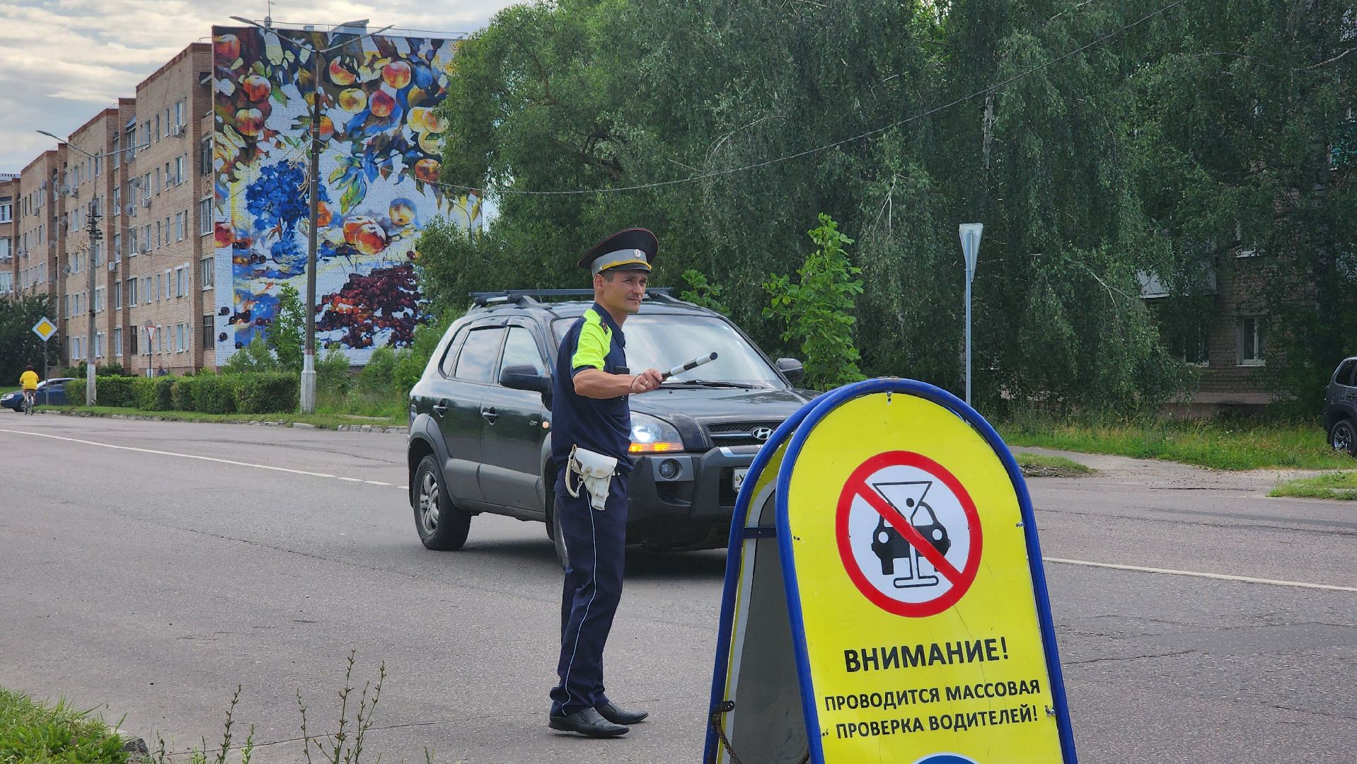 детское автокресло, тотальная проверка, Рошаль, Большя Шатура, гаи,