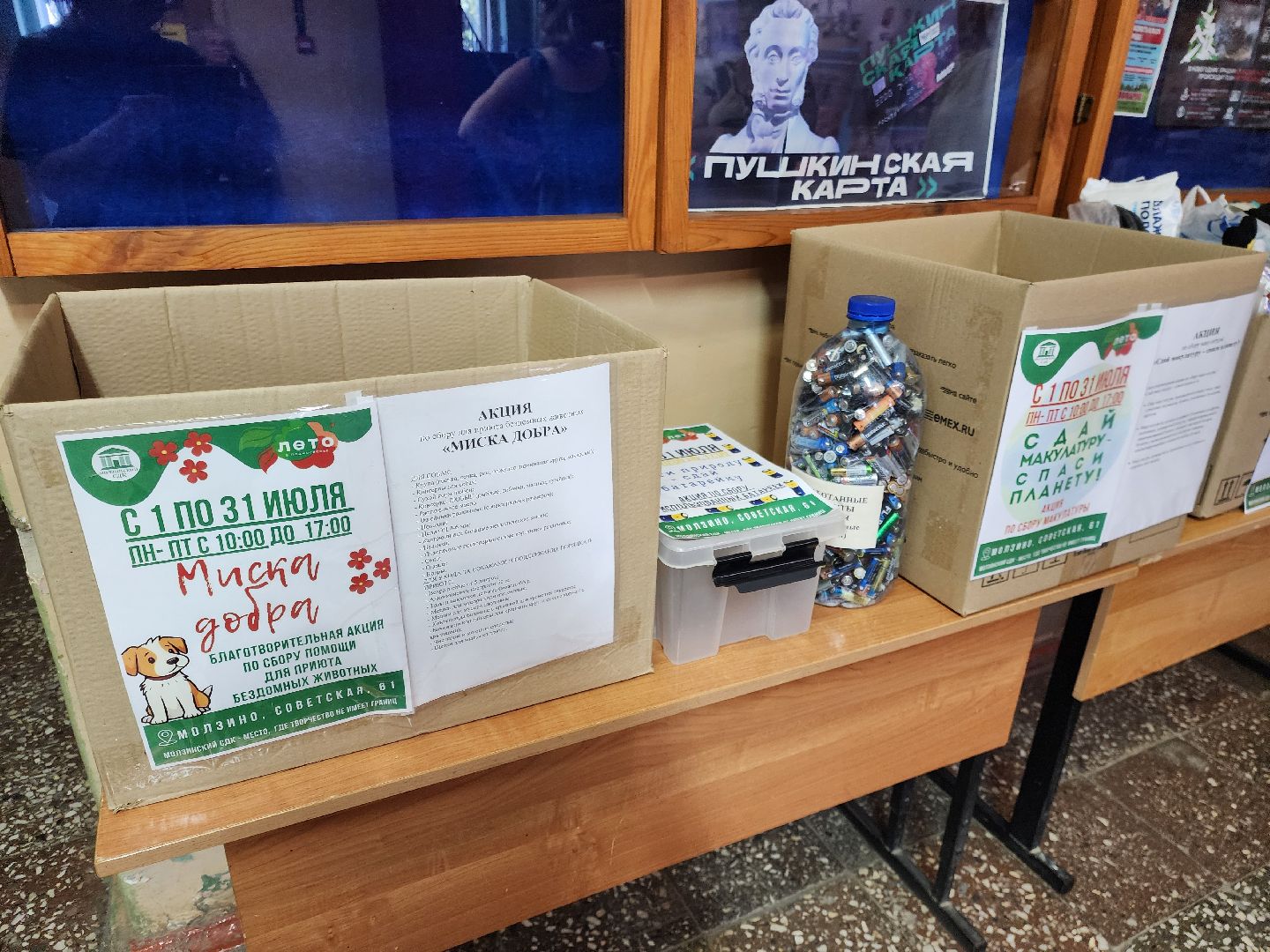 общество, жители, СДК Молзино, сельский дом культуры, ногинск, богородский округ, благотворительность, акция,