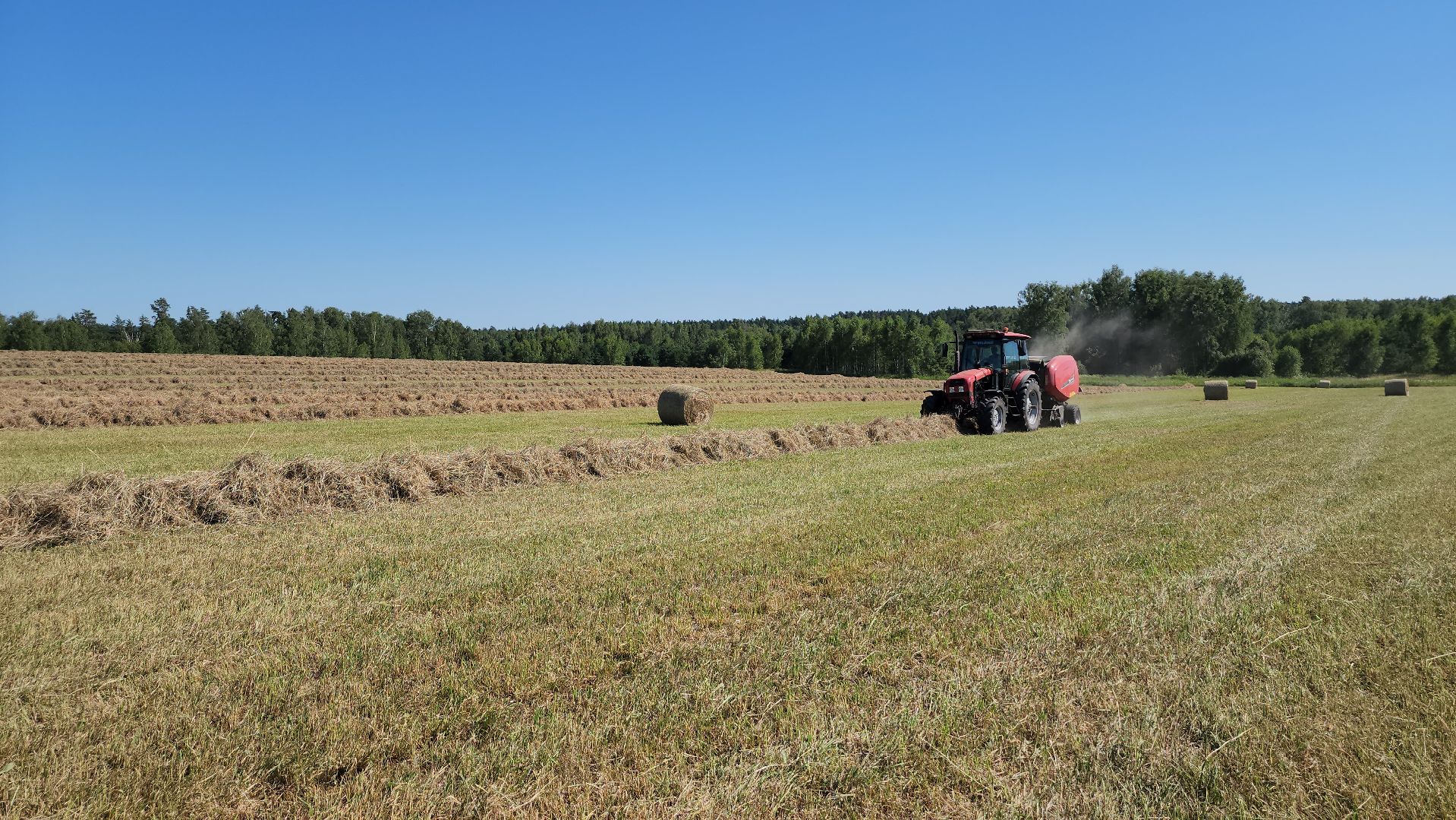 серпухов, ооо туровский, агрокомплекс, заготовка сена, сельское хозяйство,
