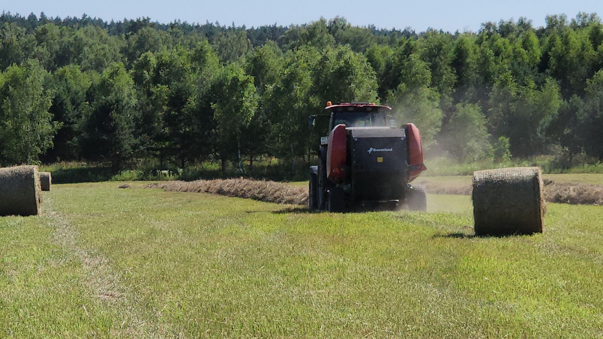 серпухов, ооо туровский, агрокомплекс, заготовка сена, сельское хозяйство,