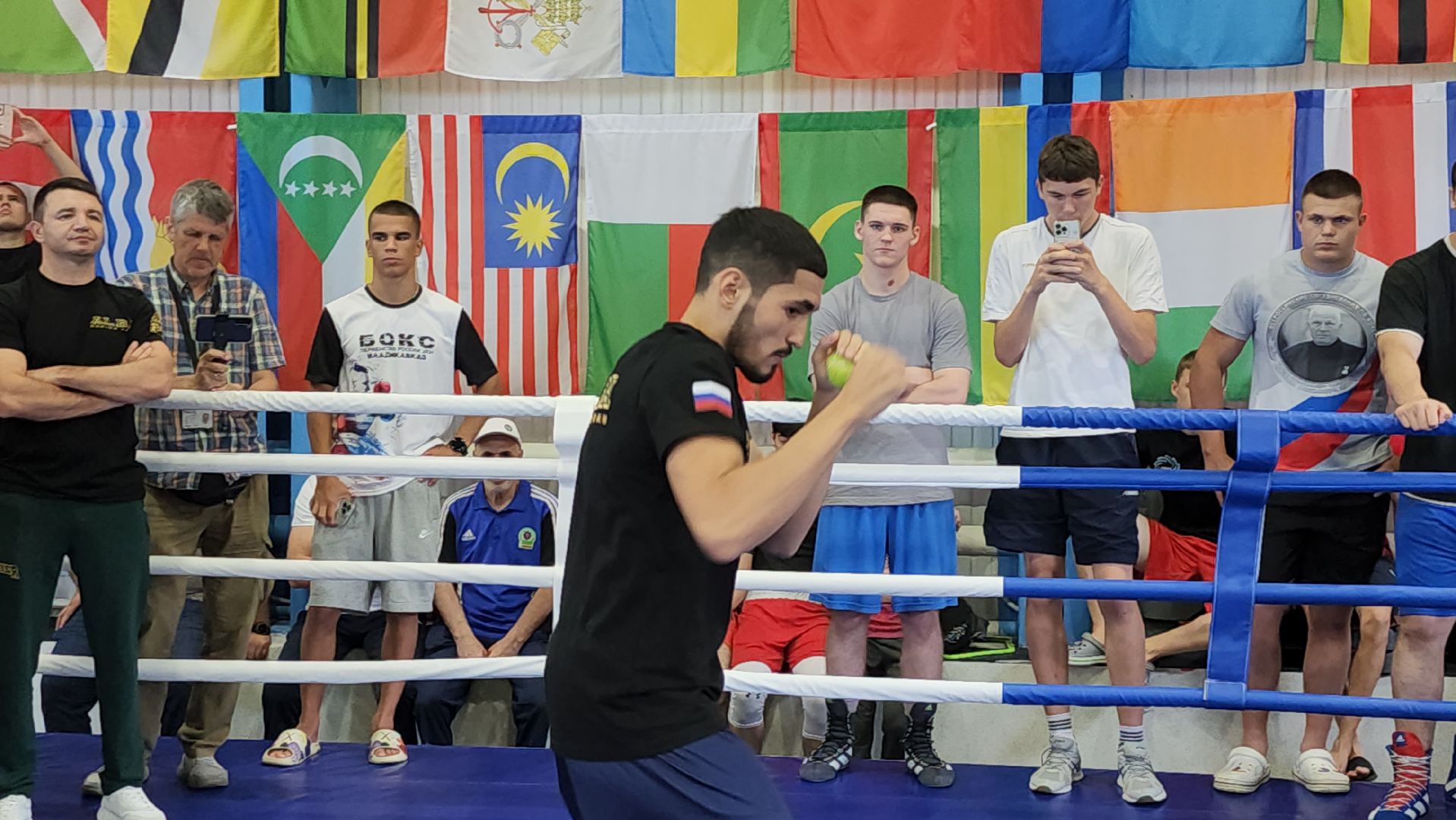 серпухов, подмосковье, федерация бокса россии,
