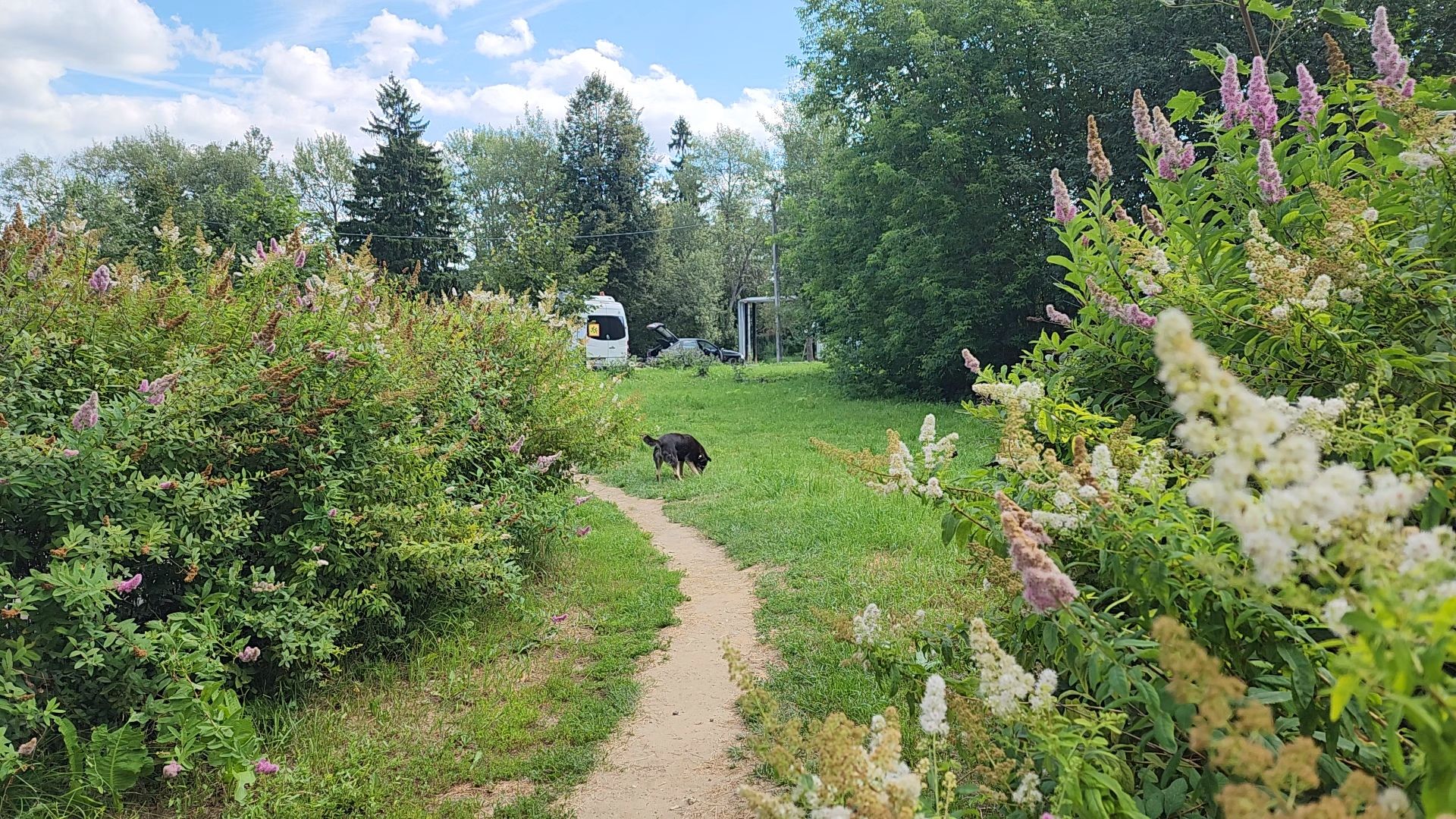 одинцово, летний отдых, благоустройство, пешком, губернатор,