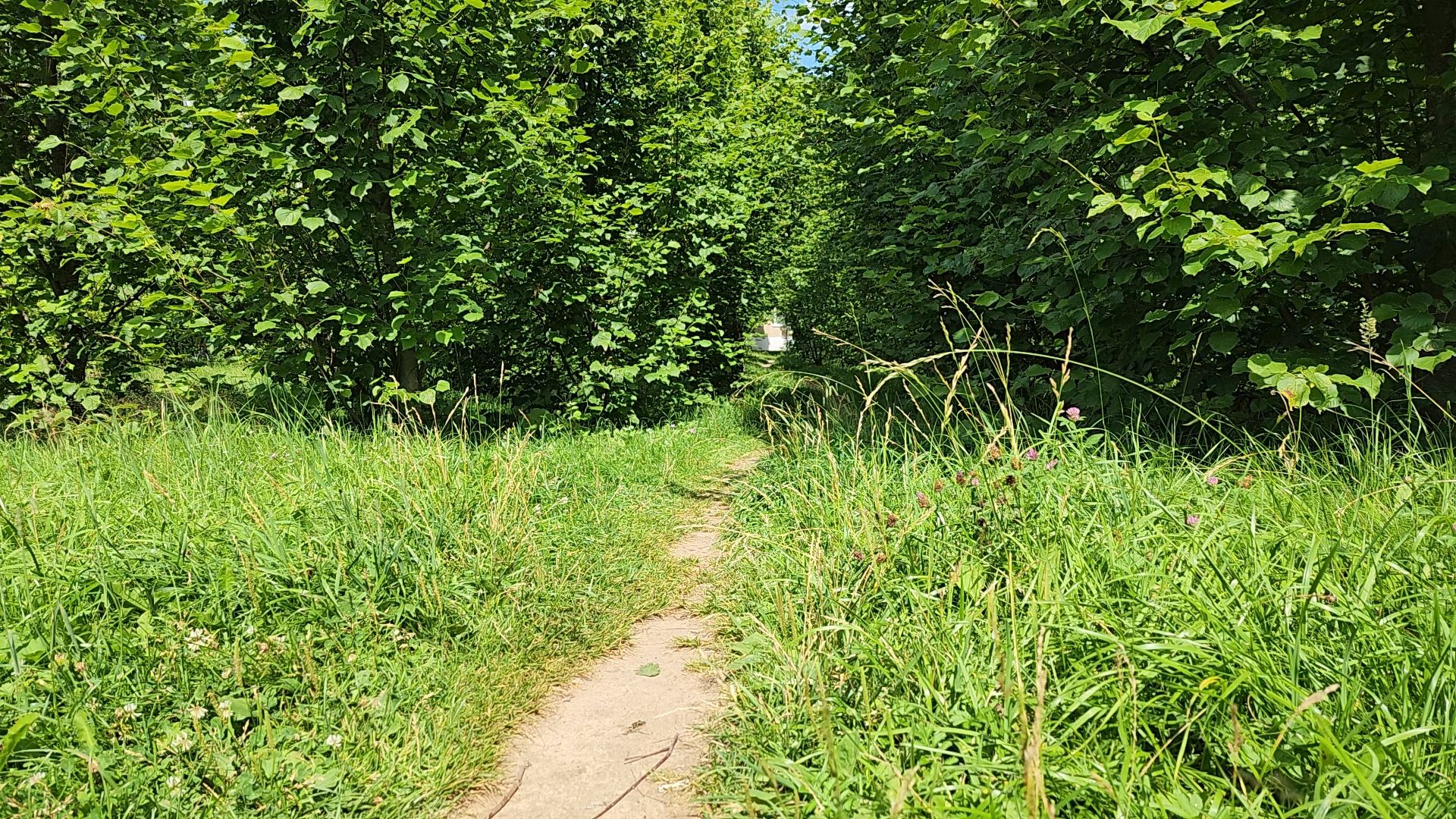 одинцово, летний отдых, благоустройство, пешком, губернатор,