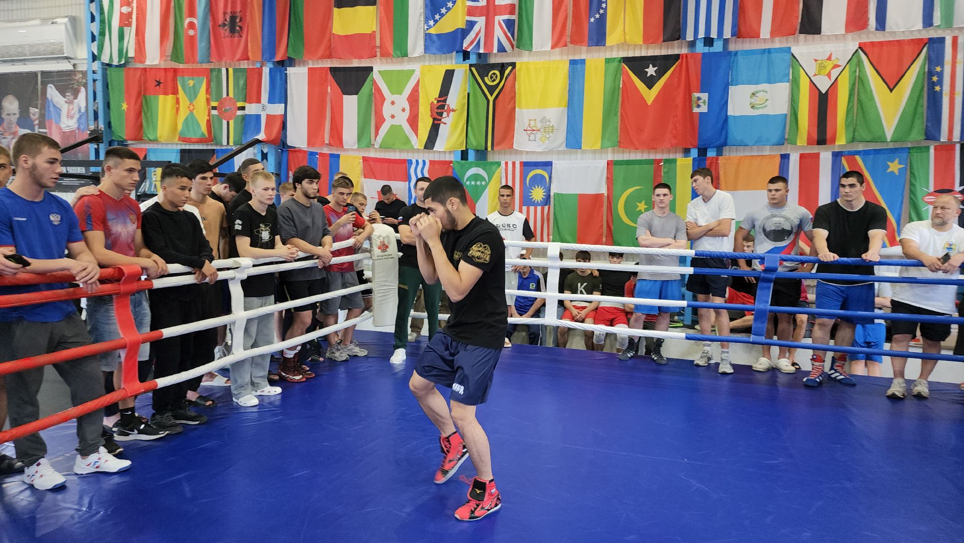 серпухов, подмосковье, бокс, федерация бокса россии,