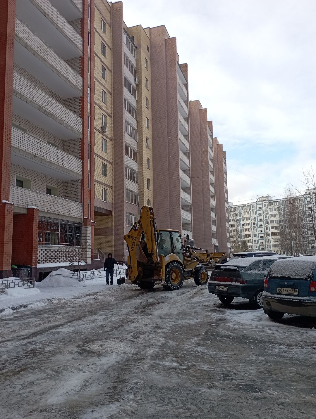 Дубна, общество