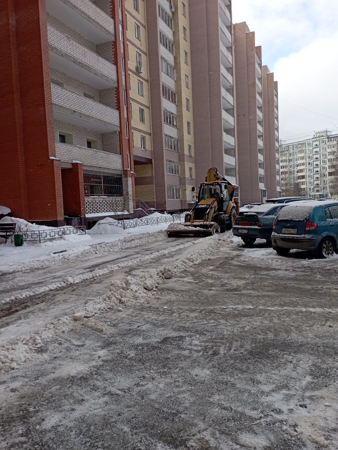 Дубна, общество