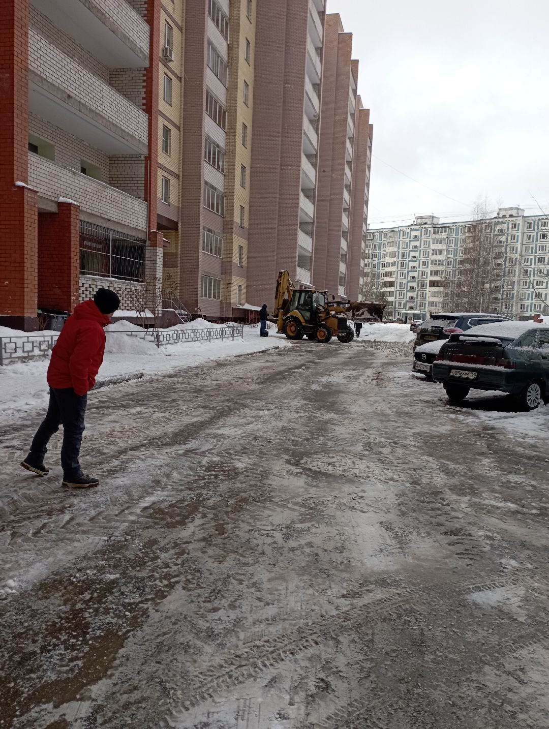 Дубна, общество