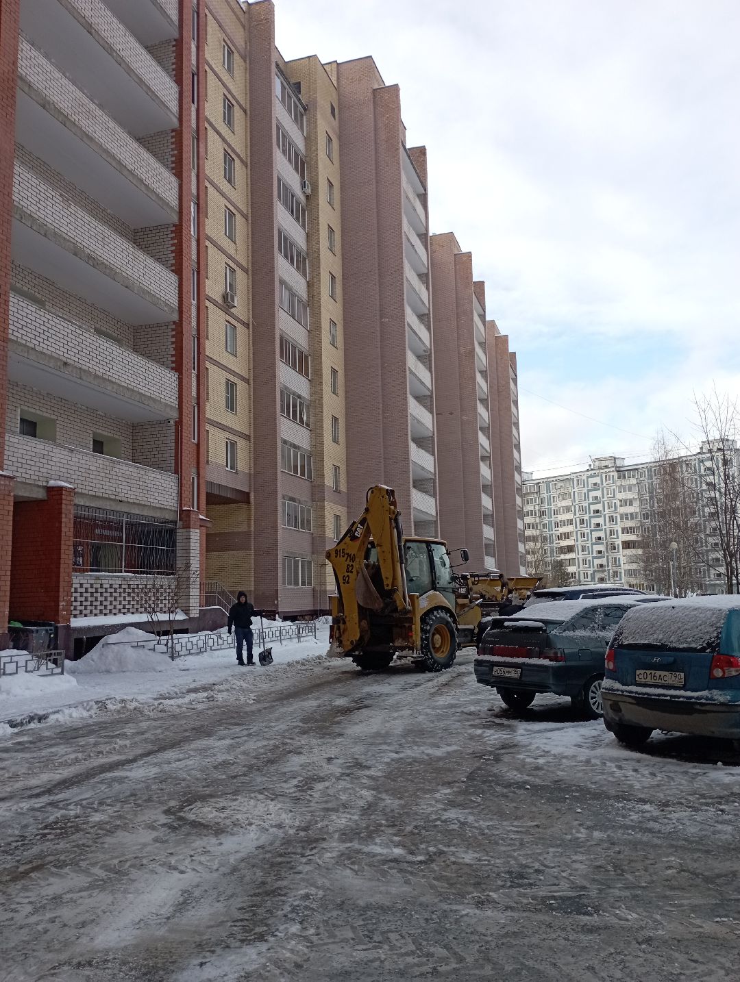 Дубна, общество