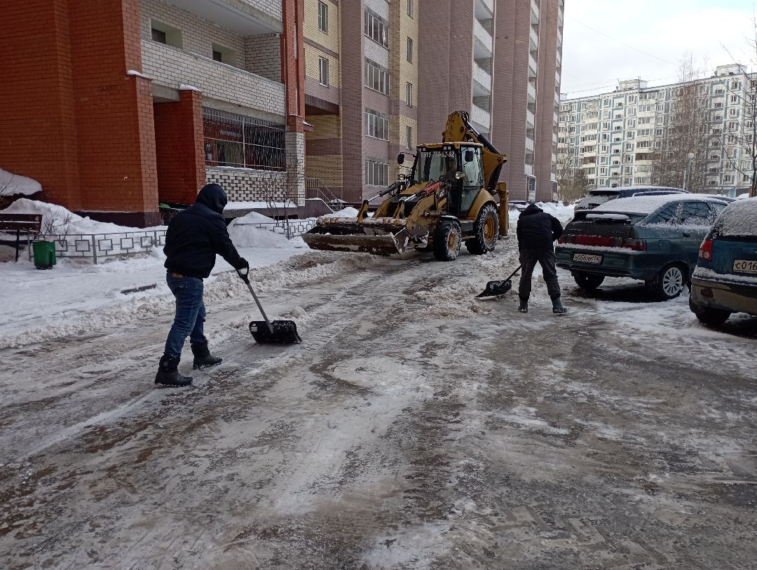 Дубна, общество