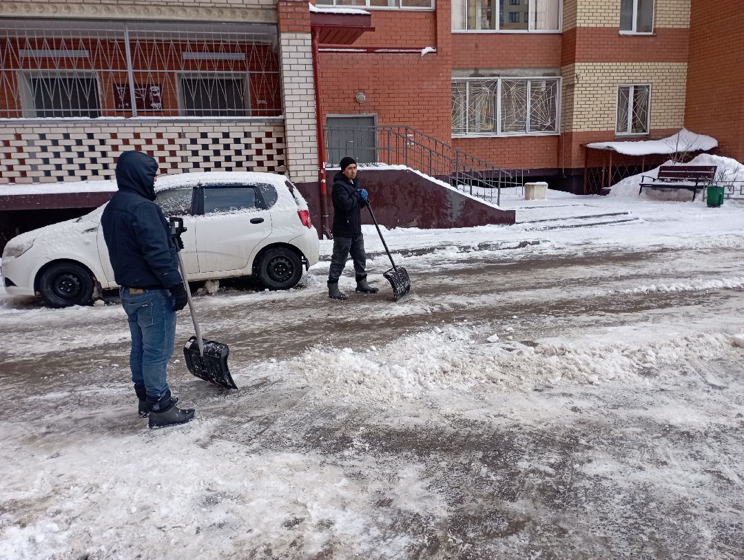 Дубна, общество