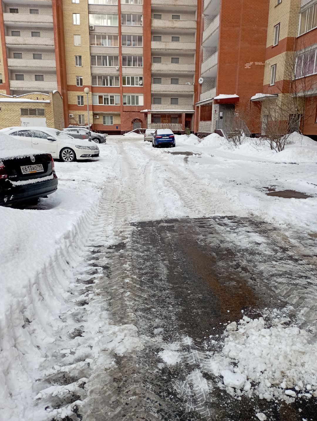 Дубна, общество