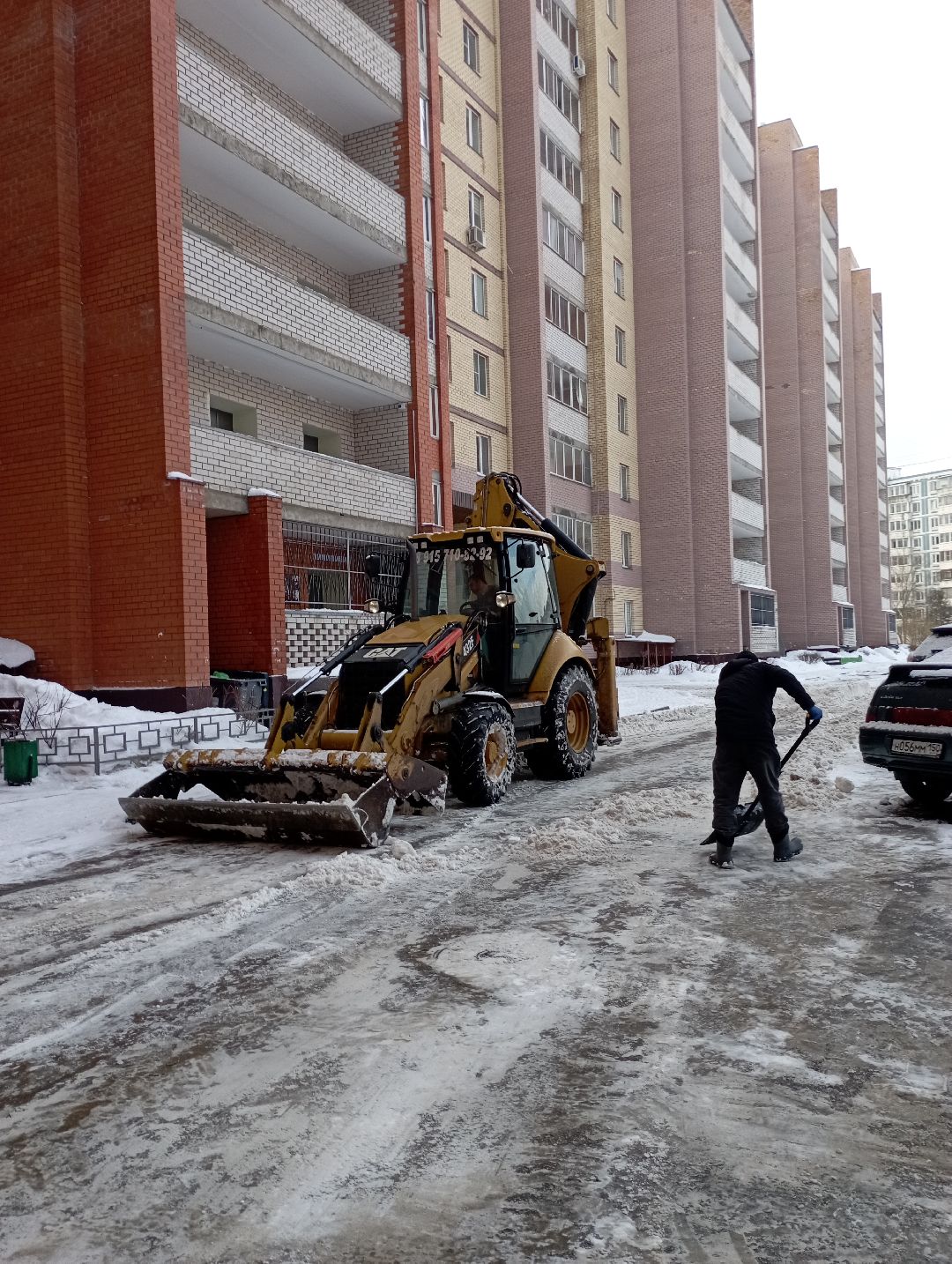 Дубна, общество