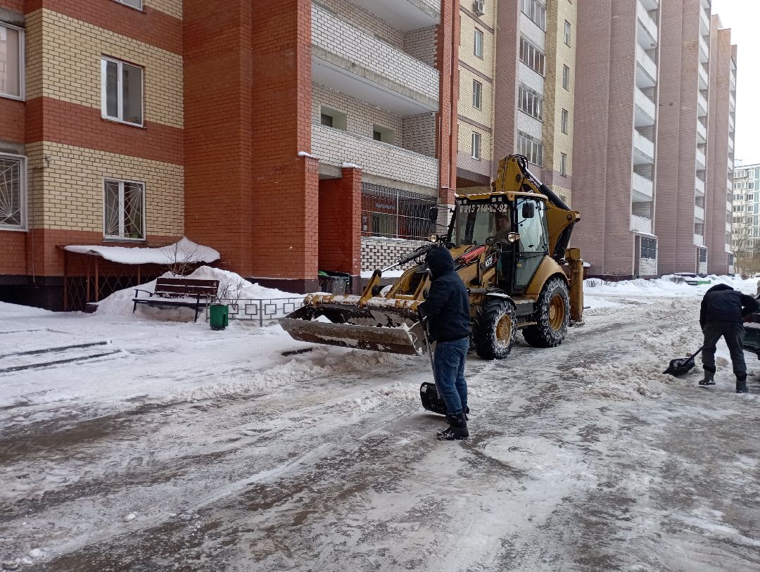 Дубна, общество