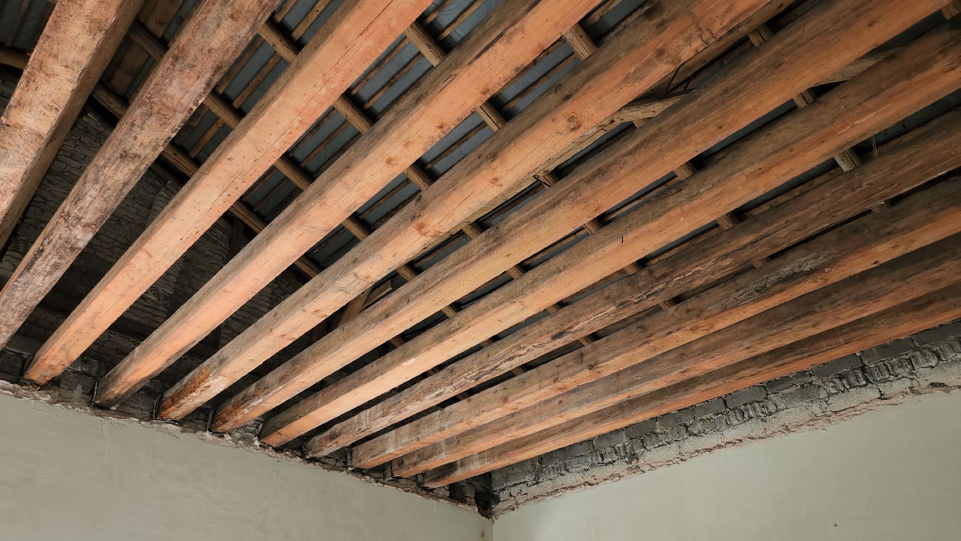 Дубна, Строительство, капремонт, Школа 1,