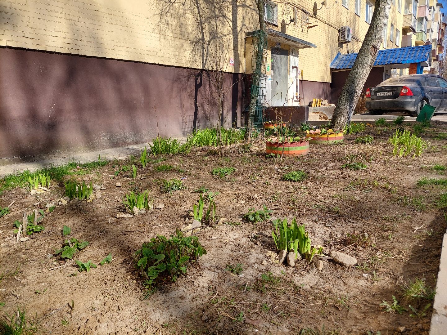 благоустройство, весна, Воскресенск