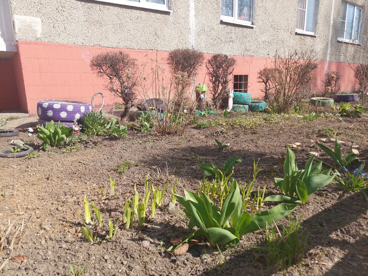 благоустройство, весна, Воскресенск