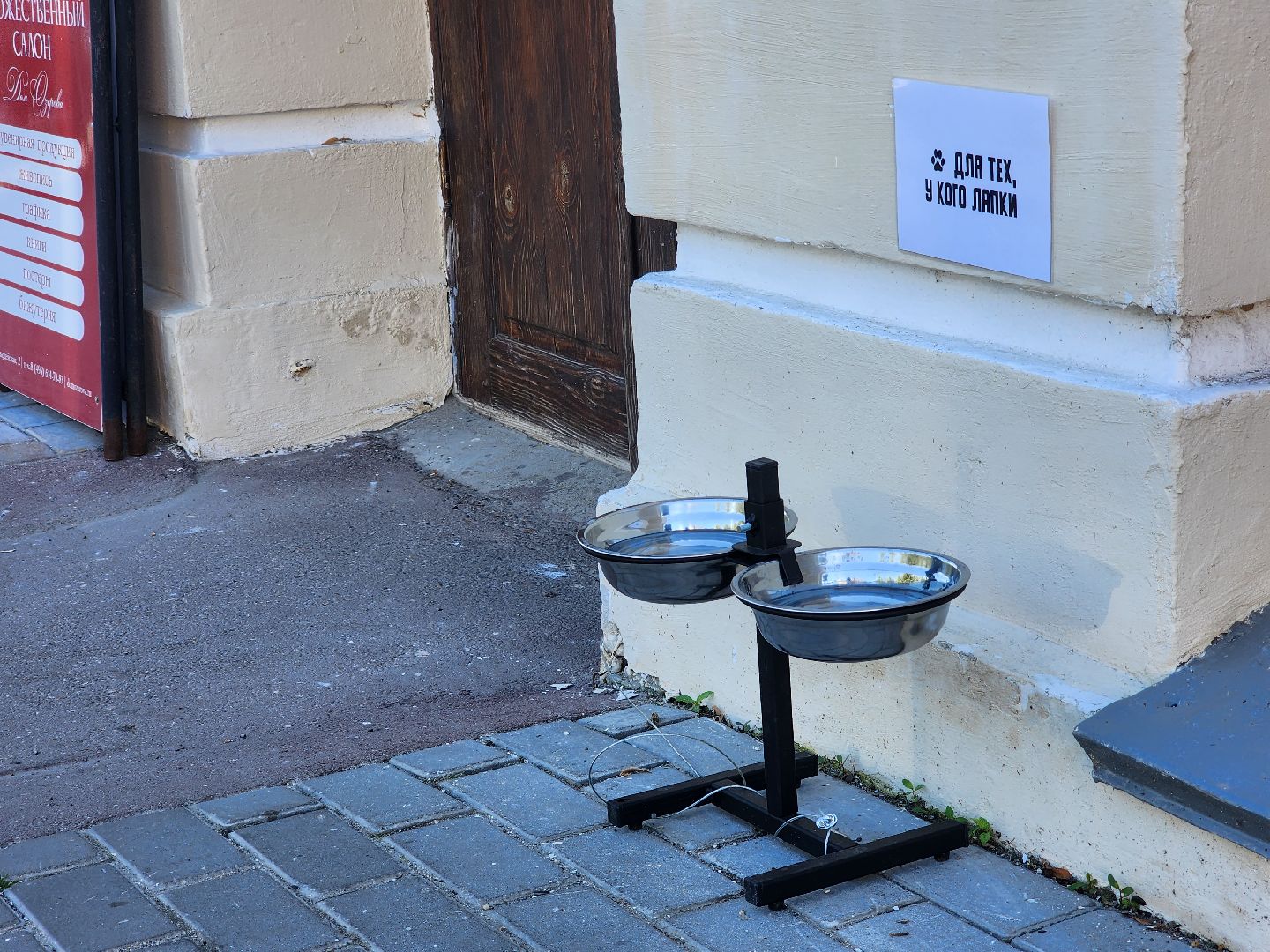 Коломна, помощь бездомным животным,