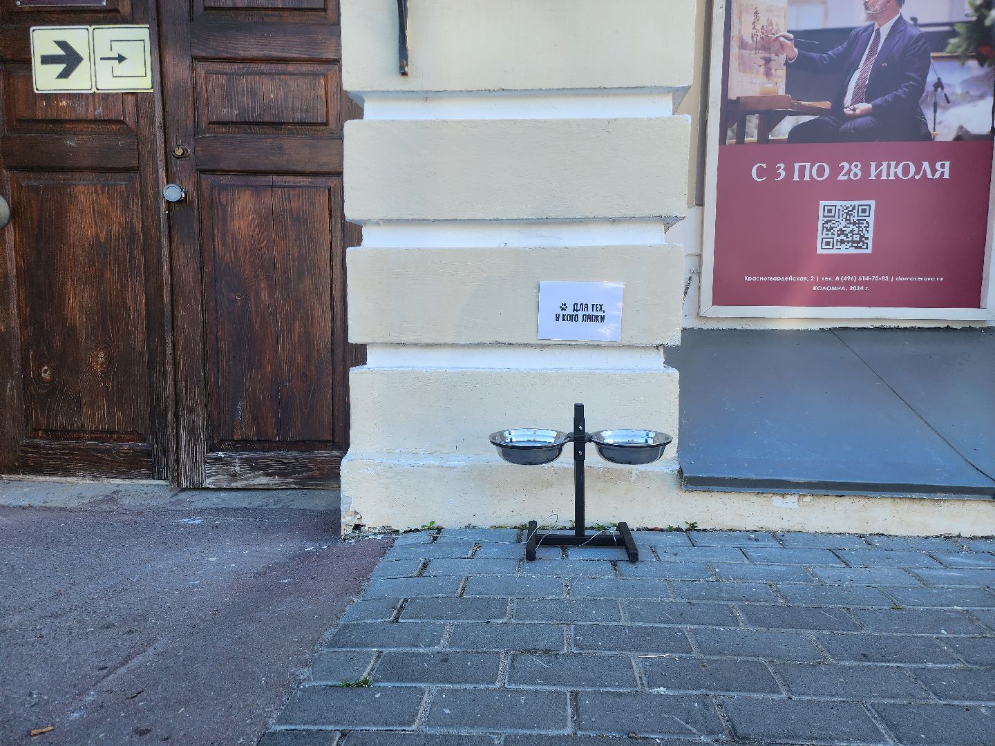 Коломна, помощь бездомным животным,