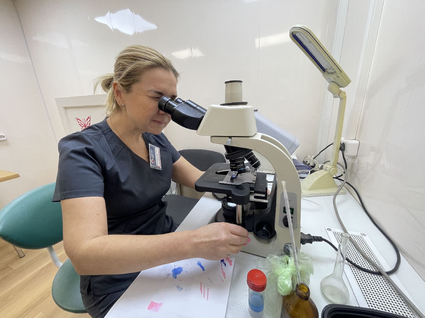 Пироплазмоз, вирус, клещи, собаки, инфекция, лечение, ветеринария,