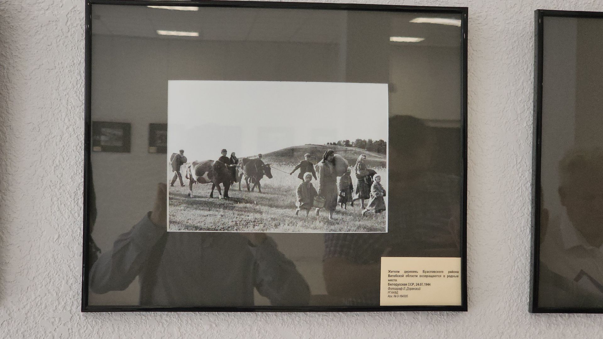 красногорск, ргакф, архив, фотовыставка,