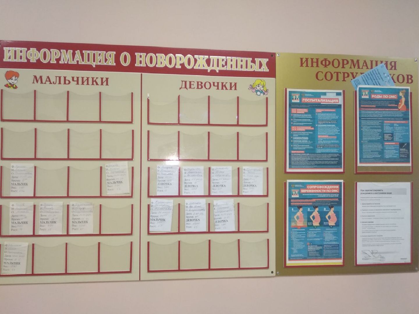 Дмитров, Дом рождения, Минздрав МО