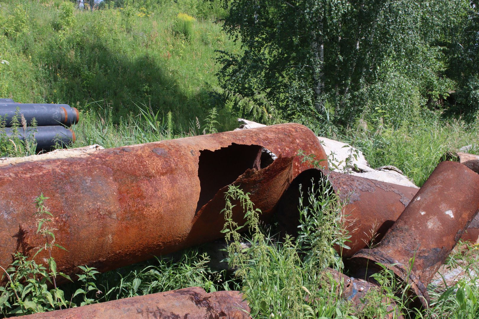Евгений Хромушин, ЭКПО, Игорь Колесников, дзержинский,