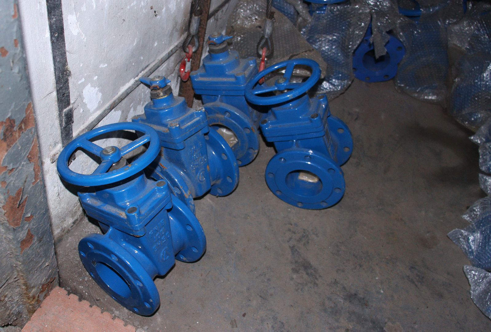 Евгений Хромушин, ЭКПО, Игорь Колесников, дзержинский,