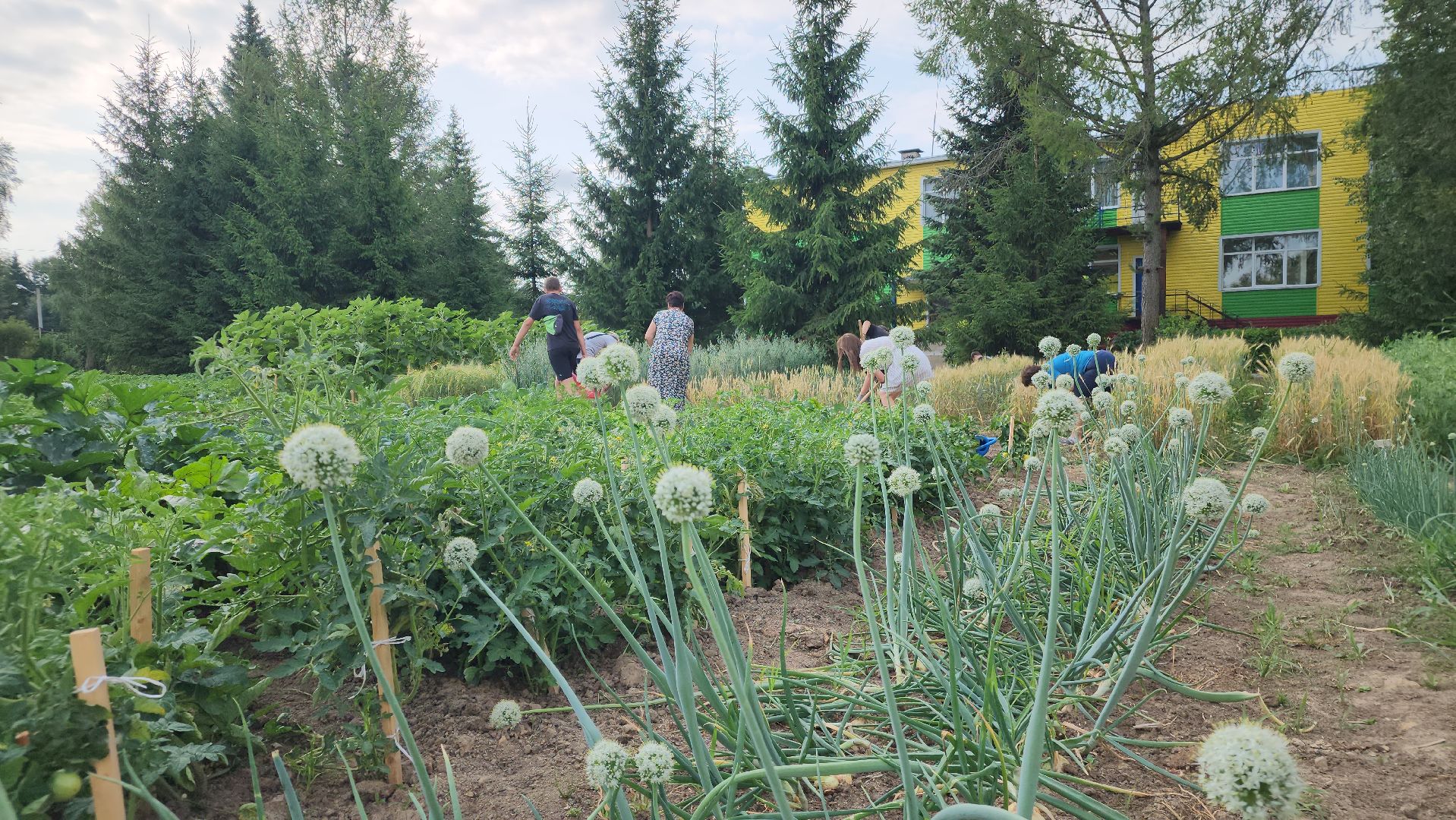 ступино, агроклассы, образование в подмосковье,