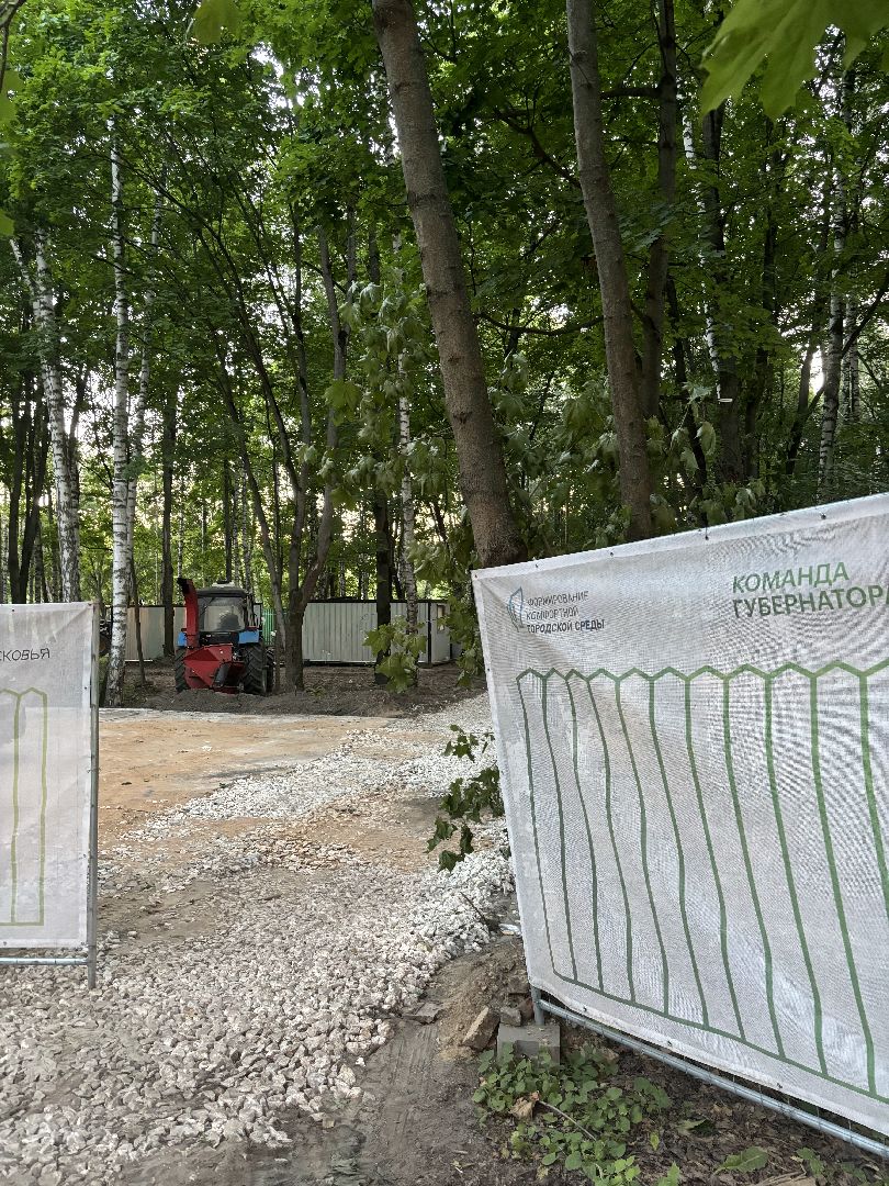 кучинский лесопарк, благоустройство, выездная администрация,