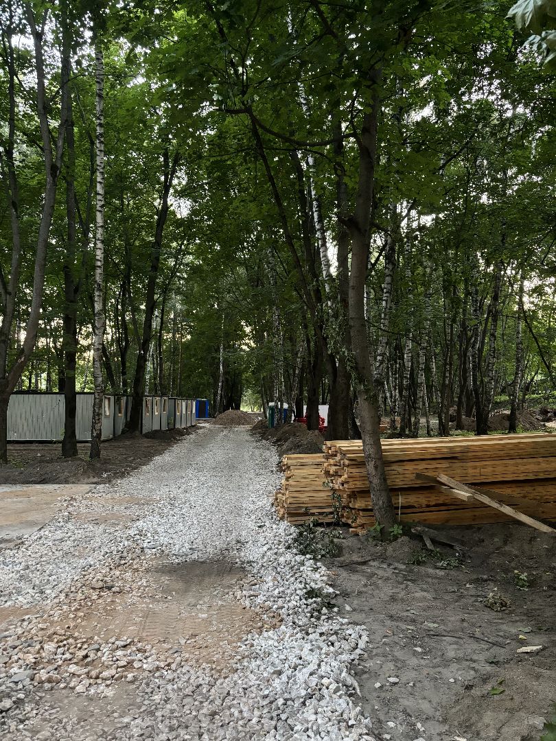 кучинский лесопарк, благоустройство, выездная администрация,