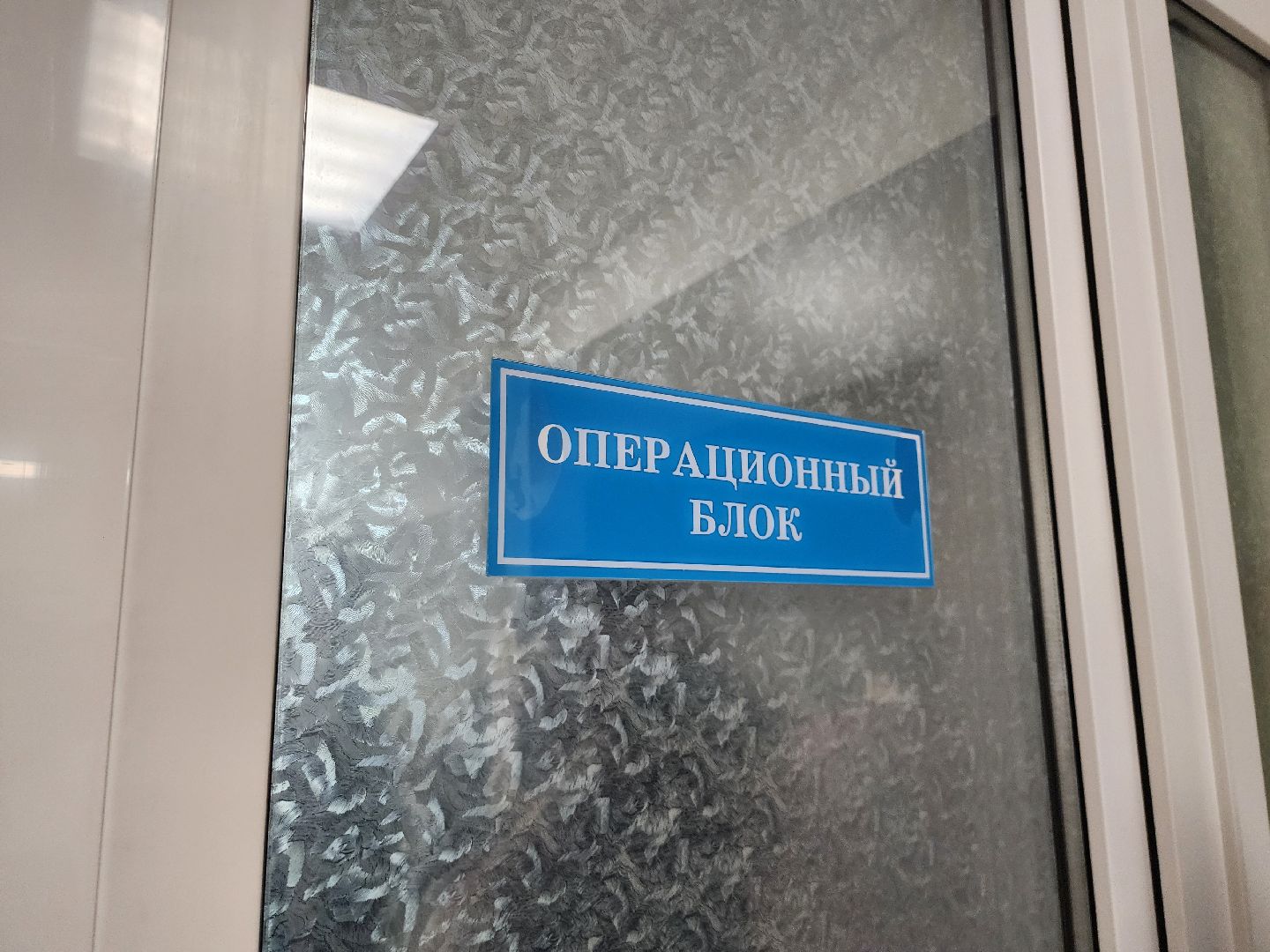 видновский перинатальный центр, станислав каторов, леонид калимуллин, рождаемость, роддом видное, ленинский округ, медицина подмосковья,