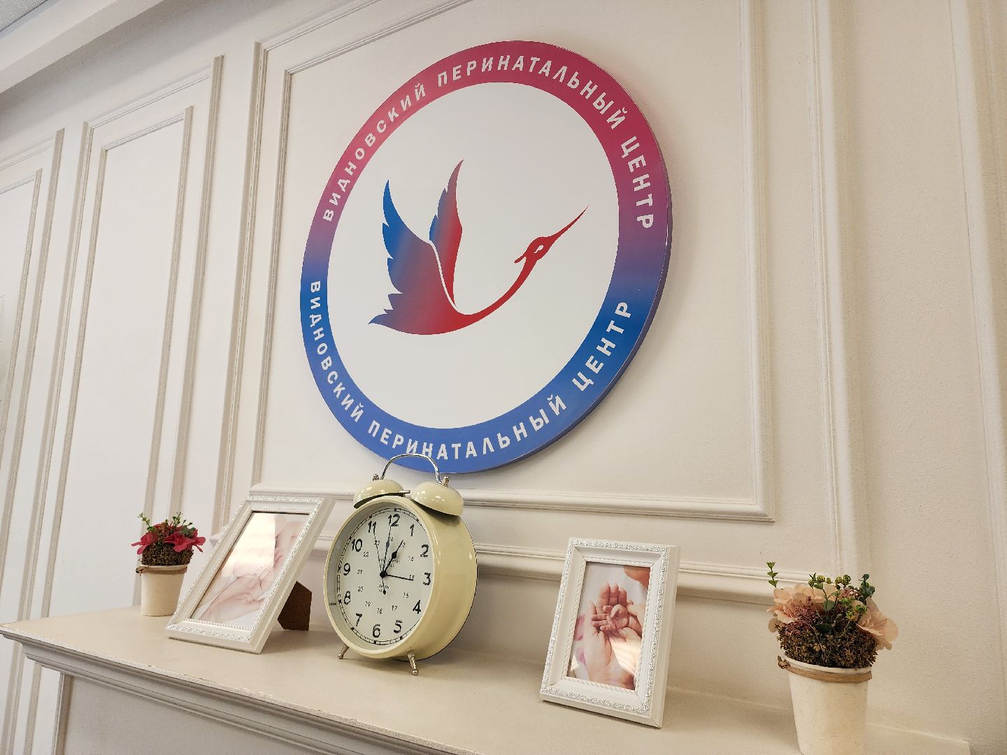 видновский перинатальный центр, станислав каторов, леонид калимуллин, рождаемость, роддом видное, ленинский округ, медицина подмосковья,