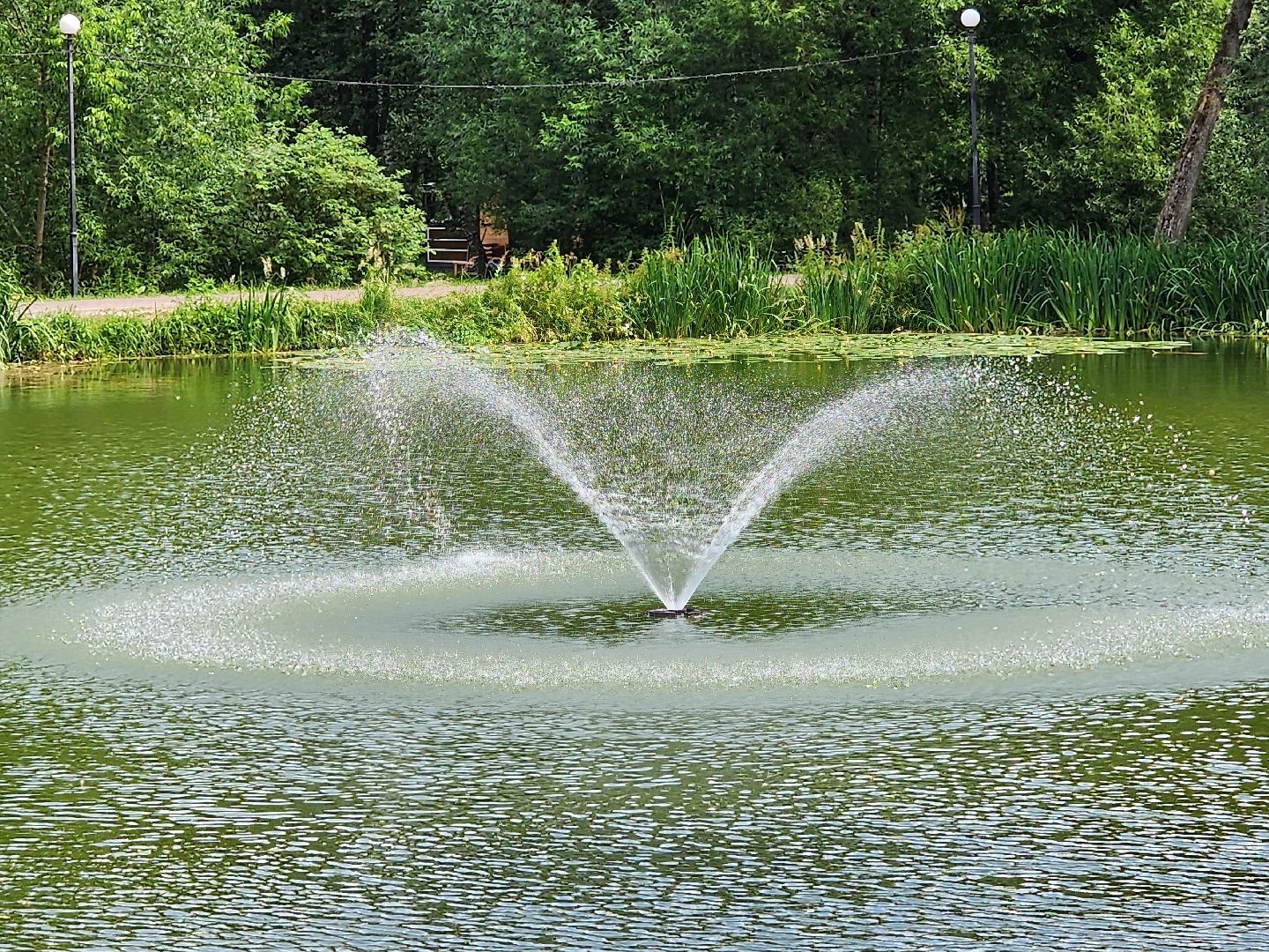 Чехов, городской парк, Анно-Зачатьевский храм, святой источник, родник,