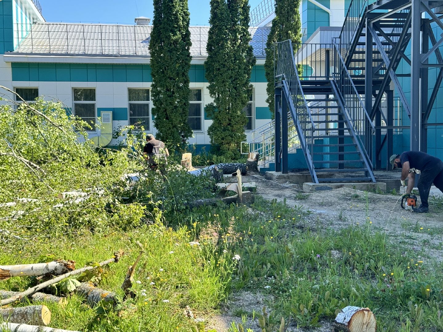 шаховская, благоуйстройство, детский сад, благоустройство территории,