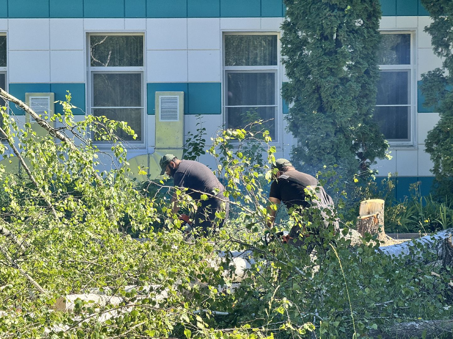 шаховская, благоуйстройство, детский сад, благоустройство территории,