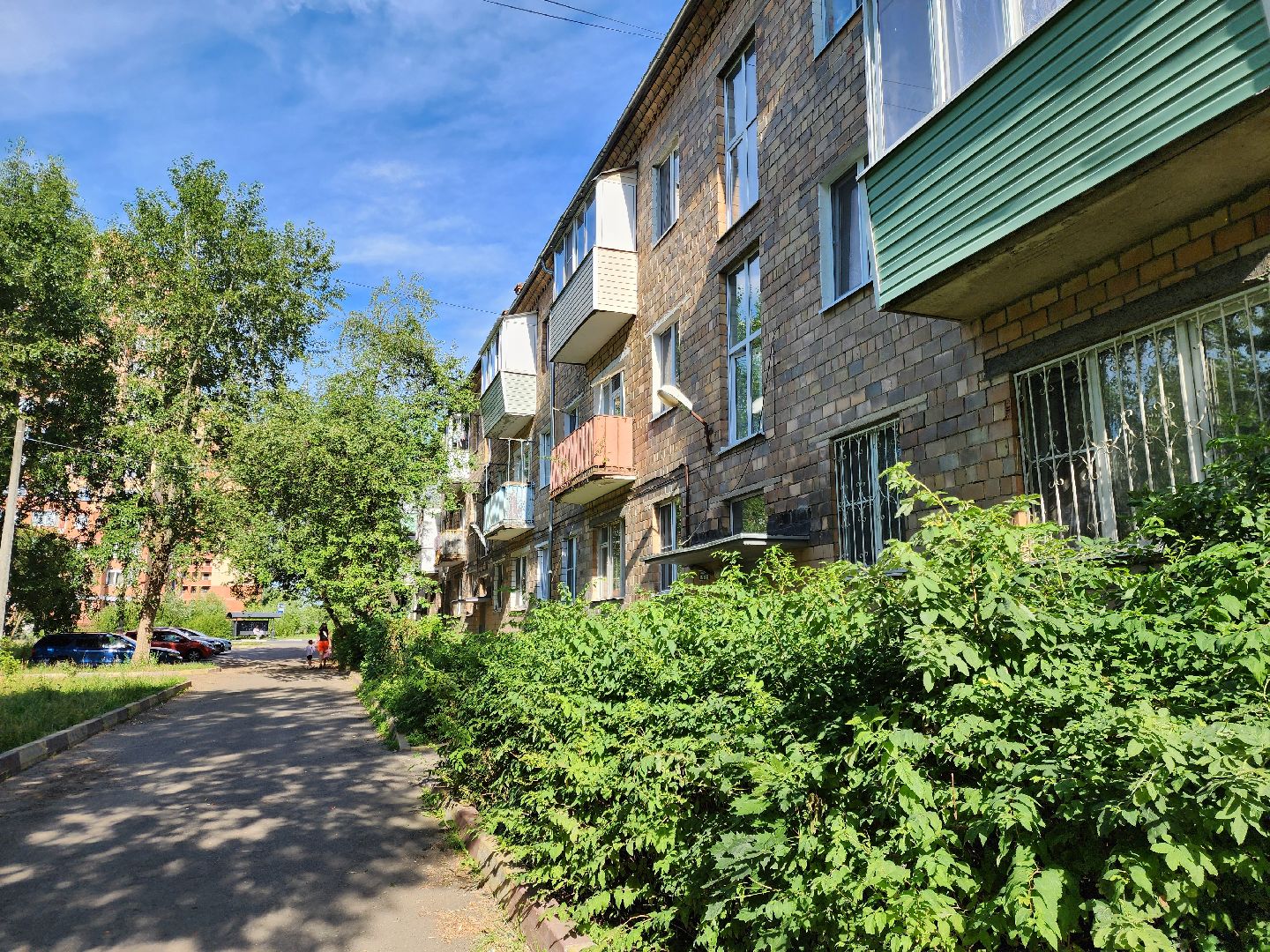 власть, общество, жители, благоустройство, выездная администрация, электроугли, богородский городский округ,