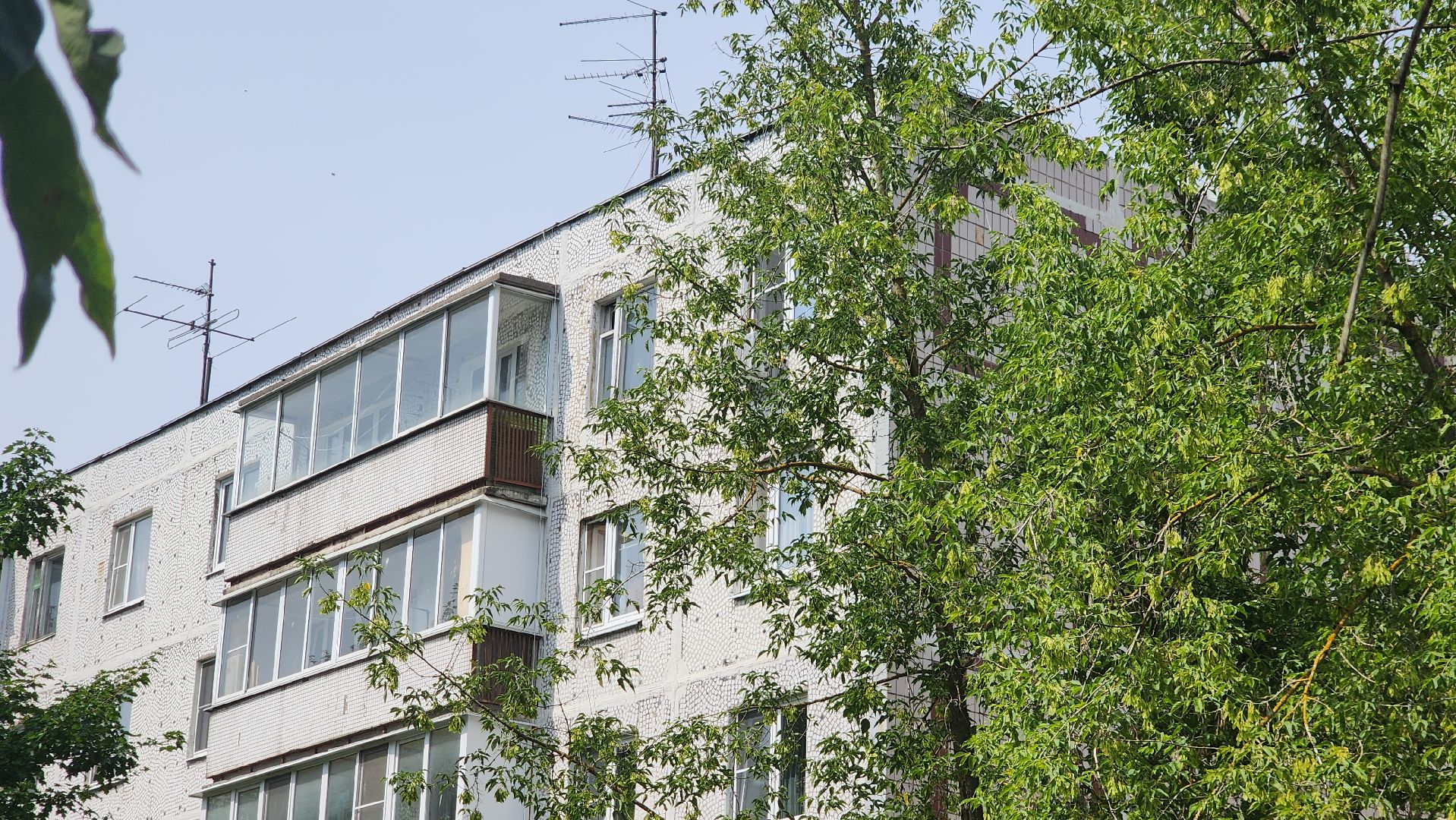 правдинский, пушкинский округ, ремонт подьездов, штукатурка, покраска,плитка,управляющая компания,