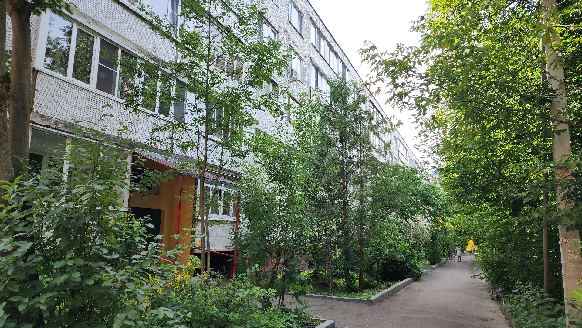 правдинский, пушкинский округ, ремонт подьездов, штукатурка, покраска,плитка,управляющая компания,