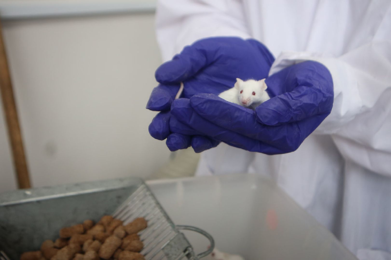 Пущино, наука, ученые, медицина, онкология