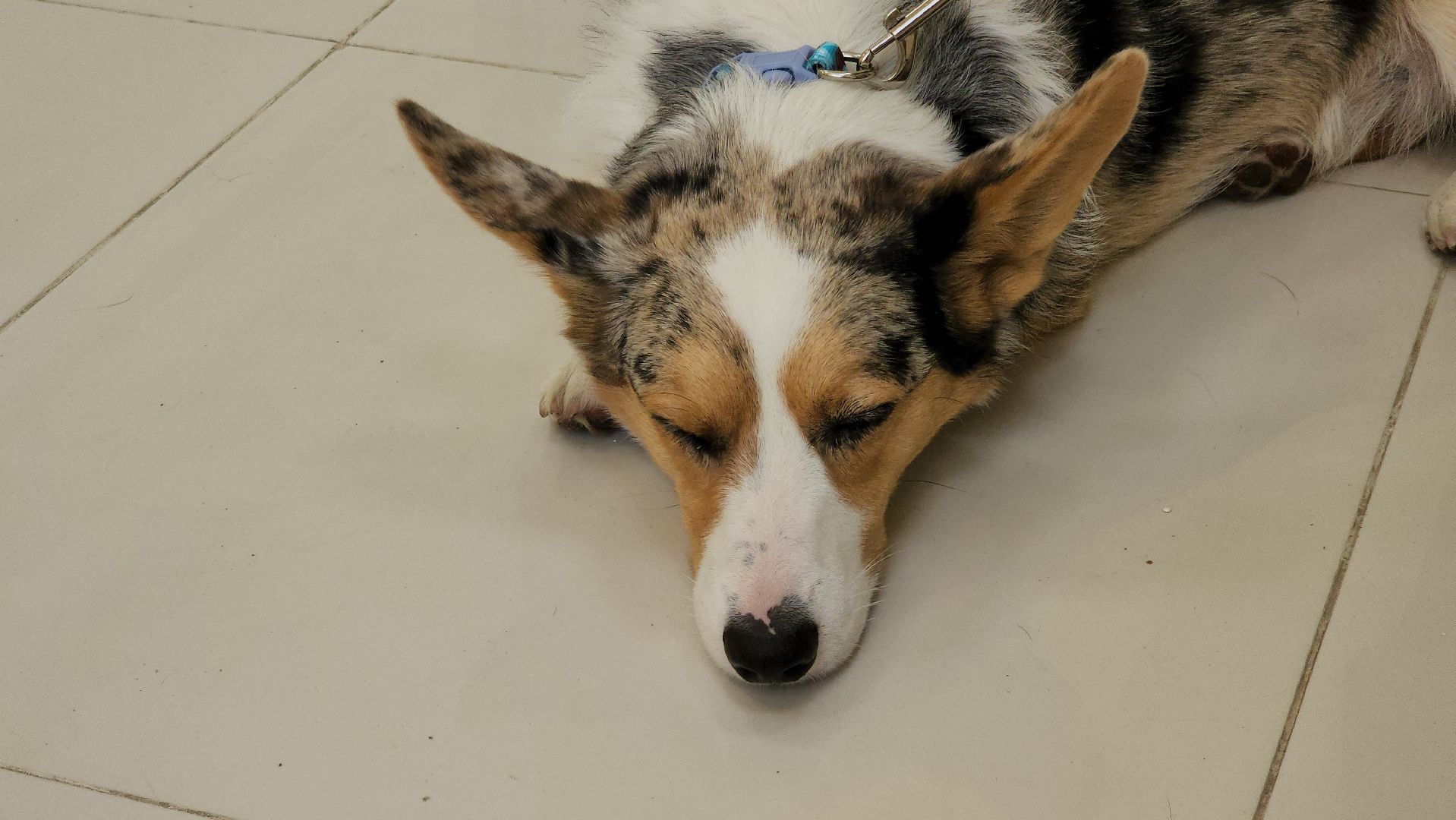 Егорьевск, Дети, клуб, игры, Лето, роботы, техника,