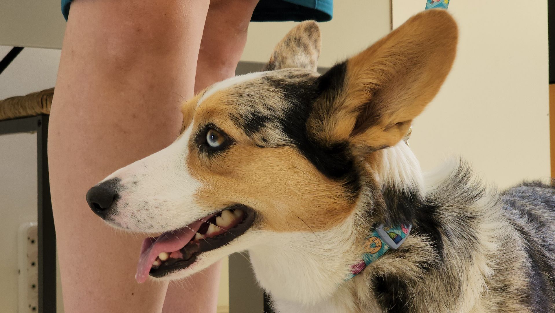 Егорьевск, Дети, клуб, игры, Лето, роботы, техника,