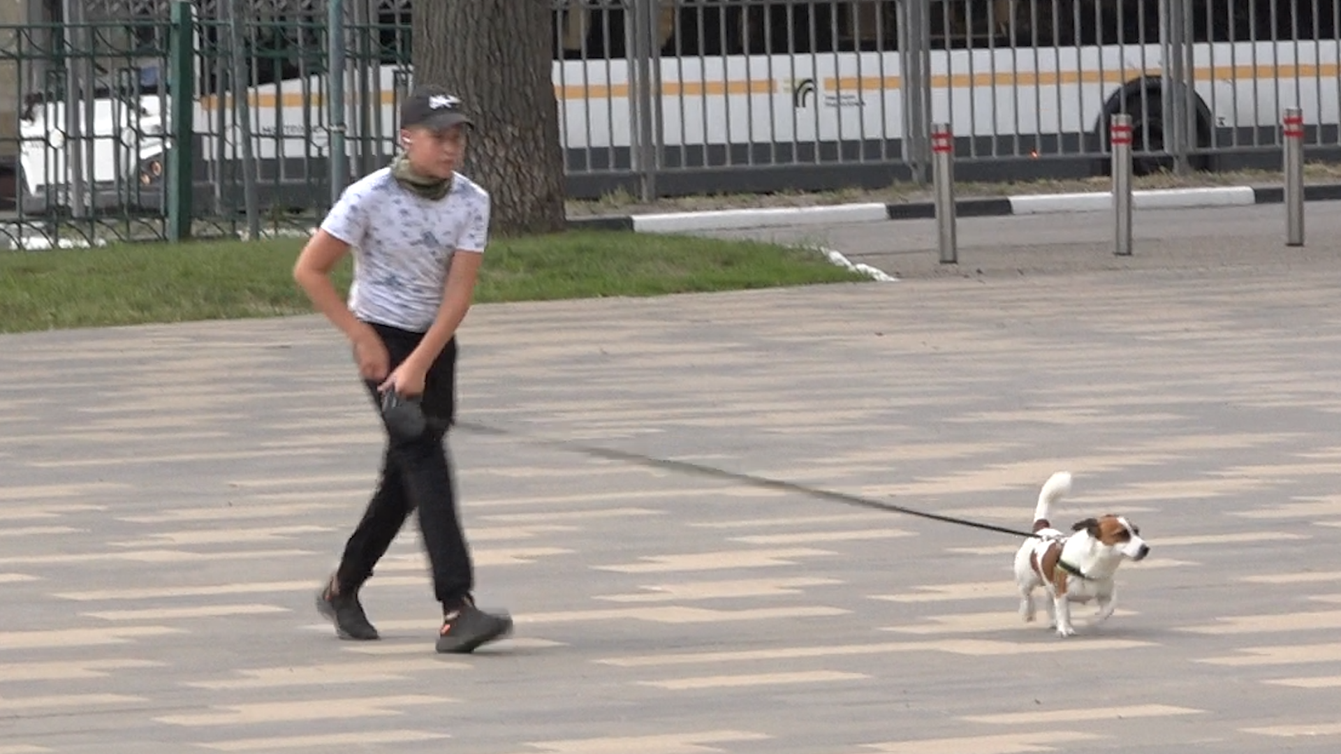 приют для собак,приют для животных, приют Умка Лесной городок, помощь бездомным животным, власиха благотворительность,