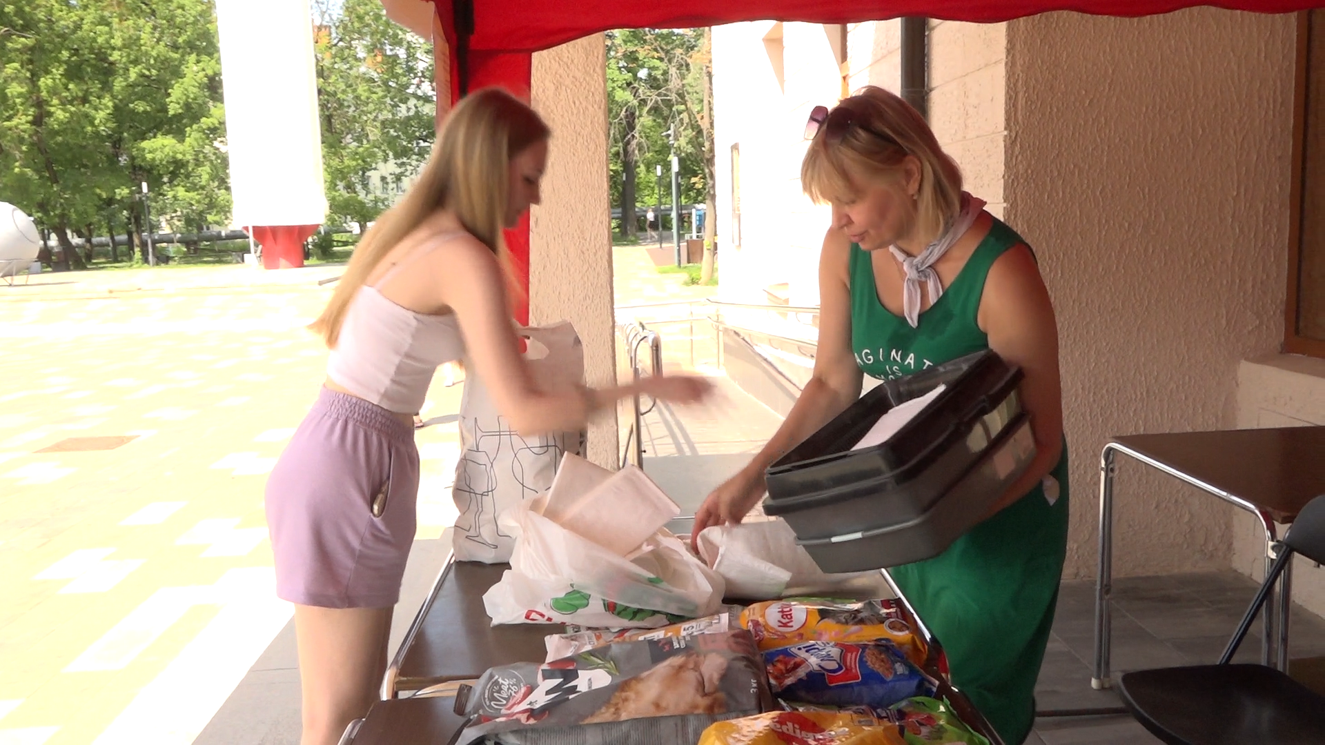 приют для собак,приют для животных, приют Умка Лесной городок, помощь бездомным животным, власиха благотворительность,