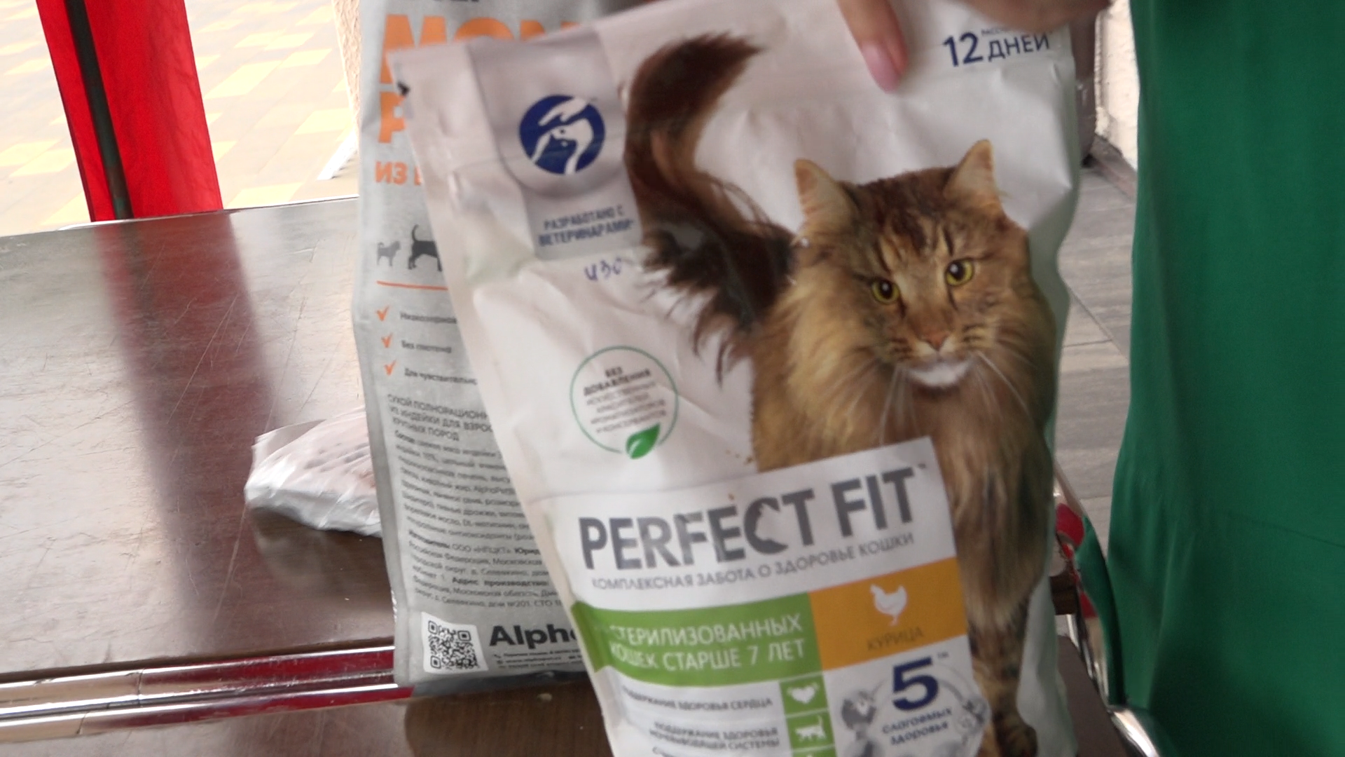 приют для собак,приют для животных, приют Умка Лесной городок, помощь бездомным животным, власиха благотворительность,