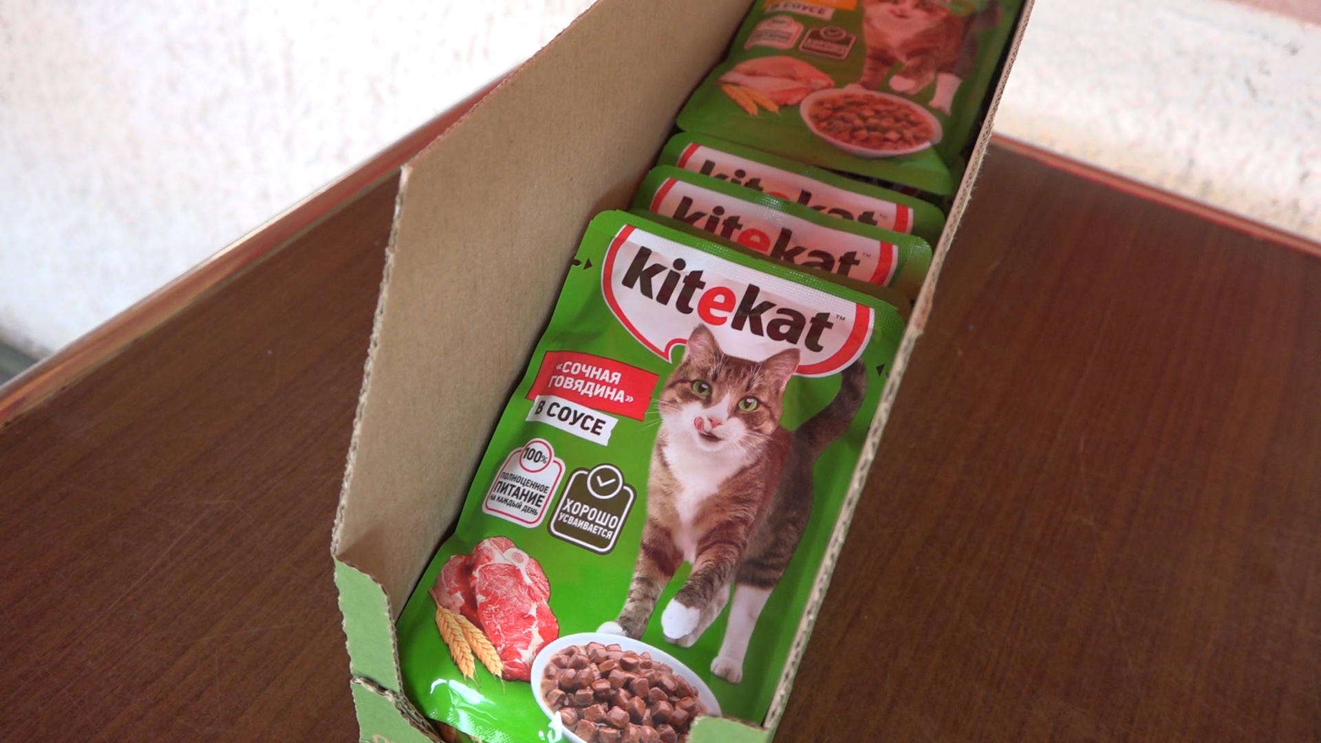 приют для собак,приют для животных, приют Умка Лесной городок, помощь бездомным животным, власиха благотворительность,