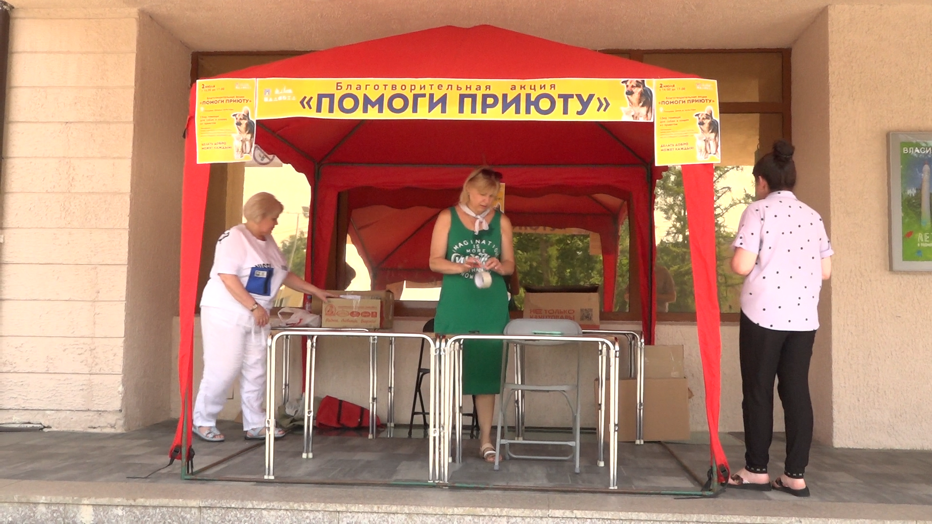 приют для собак,приют для животных, приют Умка Лесной городок, помощь бездомным животным, власиха благотворительность,